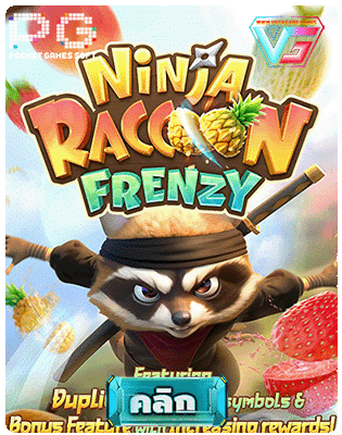 Ninja Raccoon Frenzy