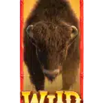 Buffalo Win