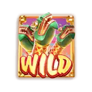 Wild Fireworks